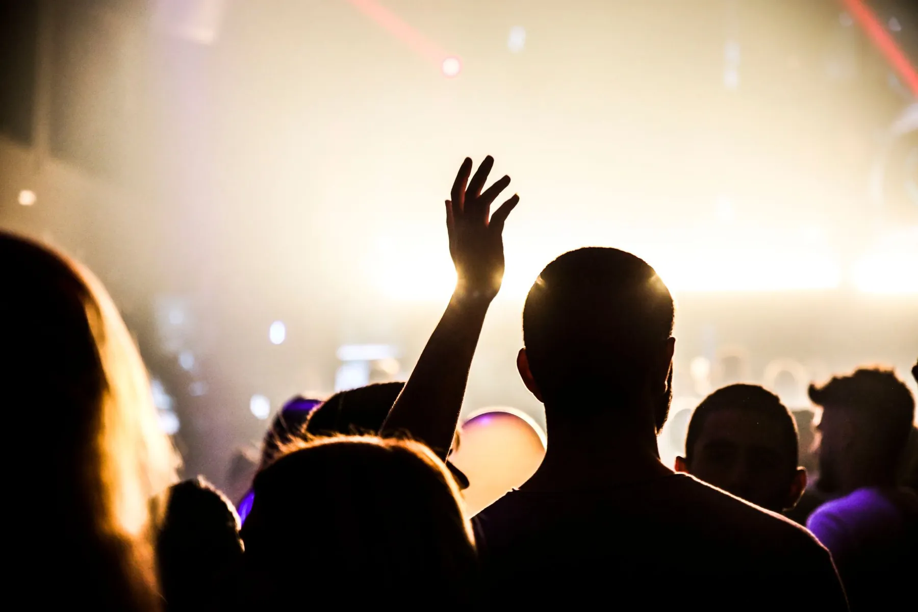Silhouette of people enjoying a vibrant party indoors, with a focus on the nightlife atmosphere.